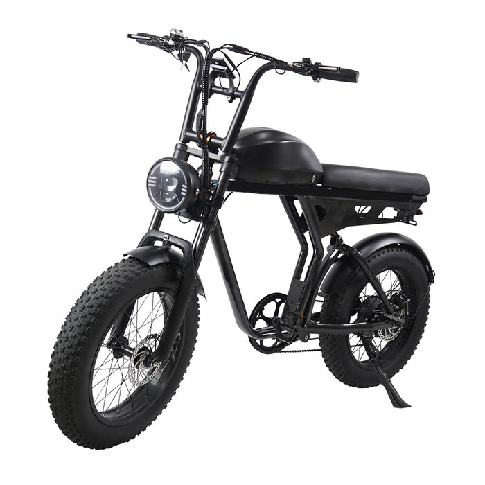 20-Inch 750W Aluminum E-Bike with Suspension