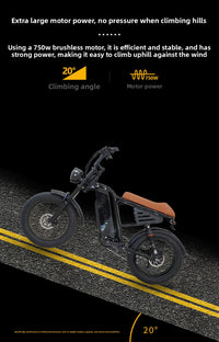 20-Inch Fat-Tire Off-Road Electric Bike