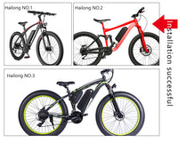 Hailong No. 1 lithium battery for Ebike