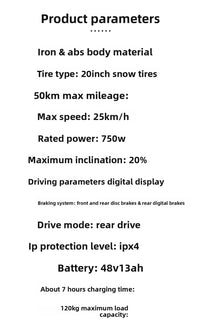 20-Inch Fat-Tire Off-Road Electric Bike