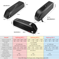 Hailong No. 1 lithium battery for Ebike