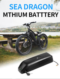 Ebike battery pack, Hailong model, 48V, 52V, 72V, high-capacity lithium iron phosphate battery pack