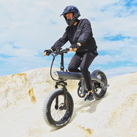Q3 48V 750W Fat-Tire E-Bike with Full Suspension