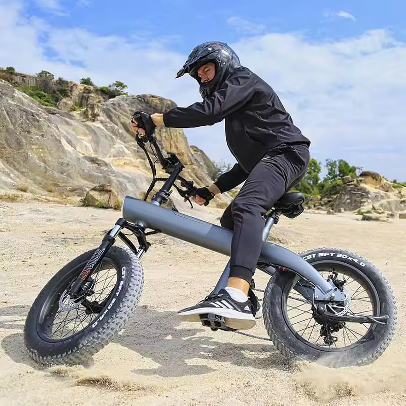 Q3 48V 750W fat-tire electric bike