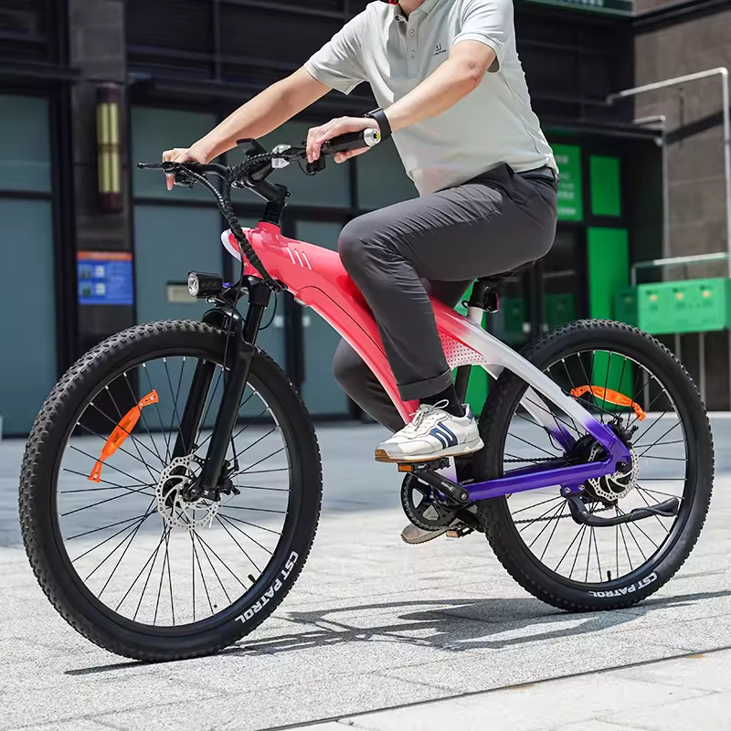 Q5 electric bike for urban riding