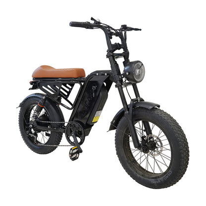 Factory Direct Fat Tire Electric Bike Off-Road Electric Assisted Bicycle European Large Capacity