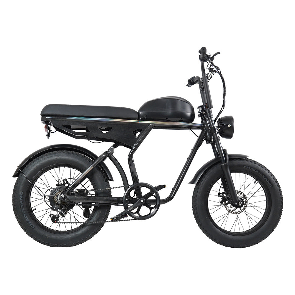 20inch Aluminum Alloy 750w High-power Motor With Shock Absorption Lithium Battery Power-assisted Dual-use Mountain Bike