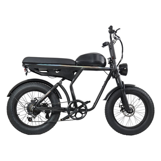 20-Inch 750W Aluminum Electric Mountain Bike with Suspension