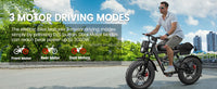 2000W Dual-Motor Electric Bike – 20-Inch Fat-Tire Off-Road E-Bike