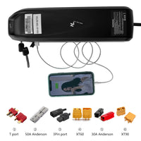 Hailong No. 1 lithium battery for Ebike
