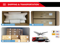 Hailong No. 1 lithium battery for Ebike