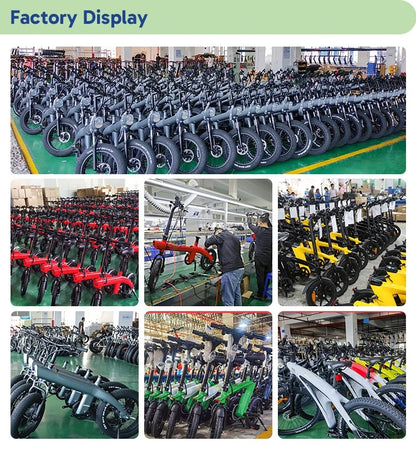 14" Aluminum Folding E-Bike: 36V 250W Rear Hub Motor, 3-Speed, Lightweight Lithium Battery Electric Bicycle