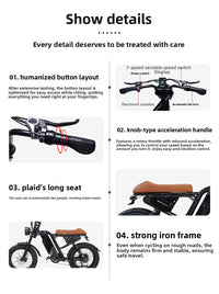 20-Inch Fat-Tire Off-Road Electric Bike