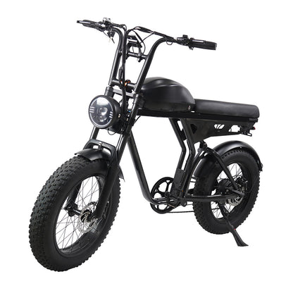 20inch Aluminum Alloy 750w High-power Motor With Shock Absorption Lithium Battery Power-assisted Dual-use Mountain Bike