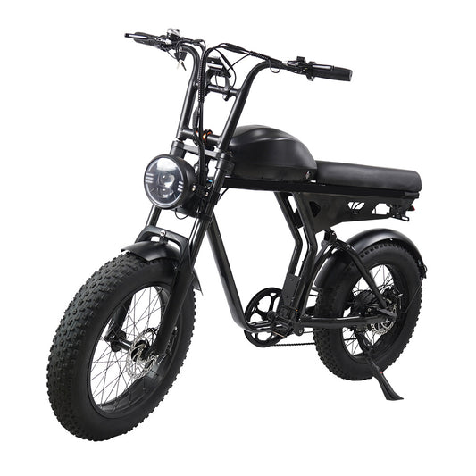 20inch Aluminum Alloy 750w High-power Motor With Shock Absorption Lithium Battery Power-assisted Dual-use Mountain Bike