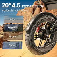 2000W Dual-Motor Electric Bike – 20-Inch Fat-Tire Off-Road E-Bike