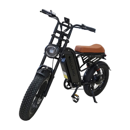 Factory Direct Fat Tire Electric Bike Off-Road Electric Assisted Bicycle European Large Capacity