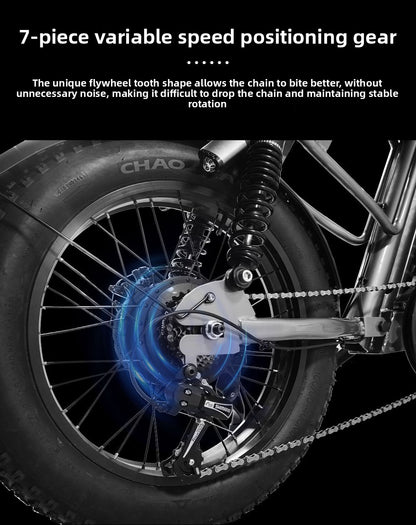 Factory Direct Fat Tire Electric Bike Off-Road Electric Assisted Bicycle European Large Capacity