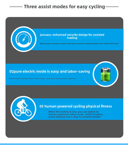 20inch Aluminum Alloy 750w High-power Motor With Shock Absorption Lithium Battery Power-assisted Dual-use Mountain Bike