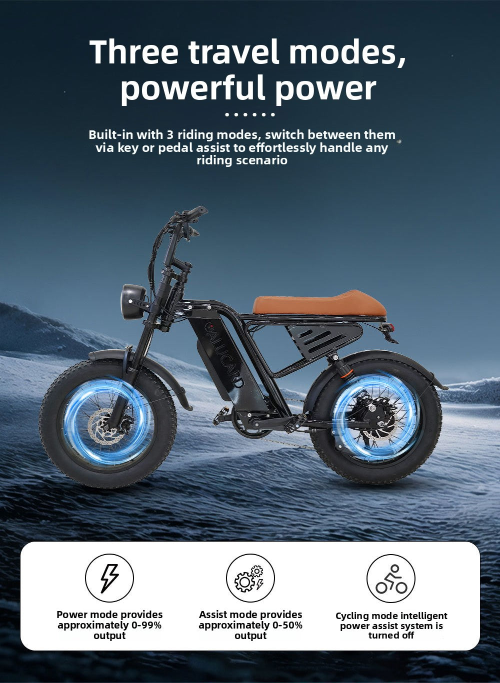 Factory Direct Fat Tire Electric Bike Off-Road Electric Assisted Bicycle European Large Capacity