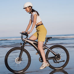 500W/750W Full-Suspension Electric Mountain Bike