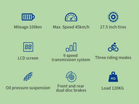 500W/750W Full-Suspension Electric Mountain Bike