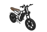 20-Inch Multi-Color Fat-Tire Electric Mountain Bike