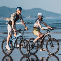 500W/750W Full-Suspension Electric Mountain Bike