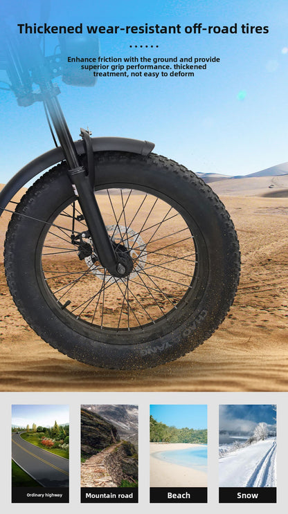 Factory Direct Fat Tire Electric Bike Off-Road Electric Assisted Bicycle European Large Capacity