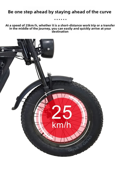 Factory Direct Fat Tire Electric Bike Off-Road Electric Assisted Bicycle European Large Capacity