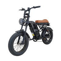 20-Inch Fat-Tire Off-Road Electric Bike