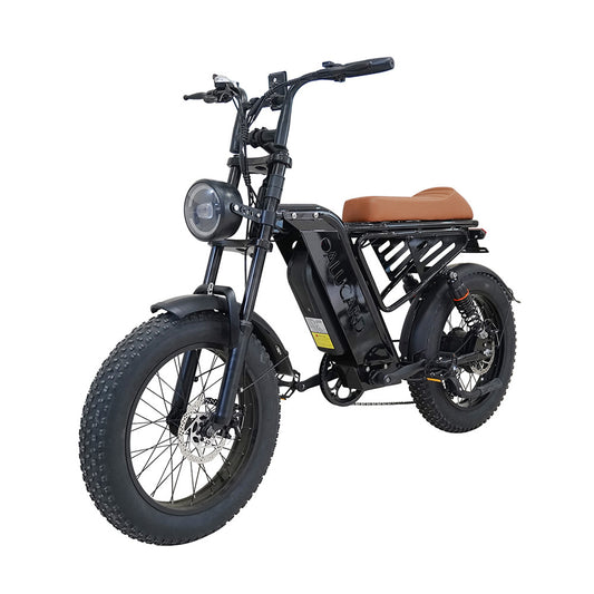Factory Direct Fat Tire Electric Bike Off-Road Electric Assisted Bicycle European Large Capacity