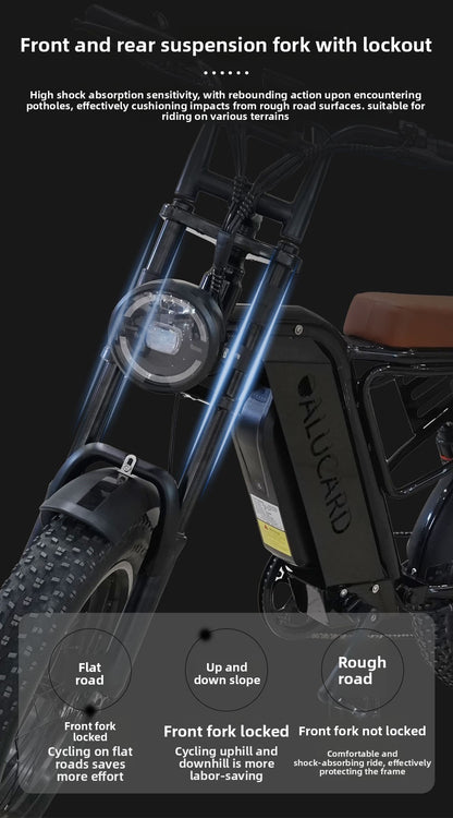 Factory Direct Fat Tire Electric Bike Off-Road Electric Assisted Bicycle European Large Capacity