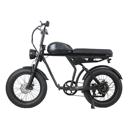 20inch Aluminum Alloy 750w High-power Motor With Shock Absorption Lithium Battery Power-assisted Dual-use Mountain Bike