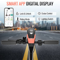 V10 Pro Electric Scooter – 250W, 10-Inch Folding E-Scooter