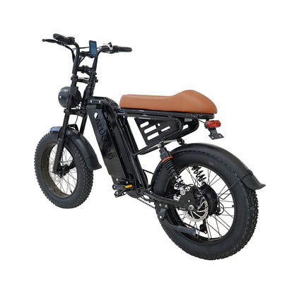 Factory Direct Fat Tire Electric Bike Off-Road Electric Assisted Bicycle European Large Capacity