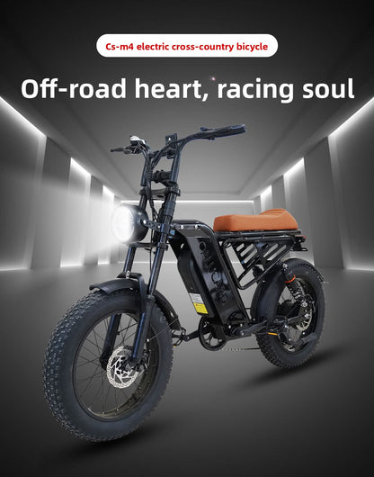 Factory Direct Fat Tire Electric Bike Off-Road Electric Assisted Bicycle European Large Capacity