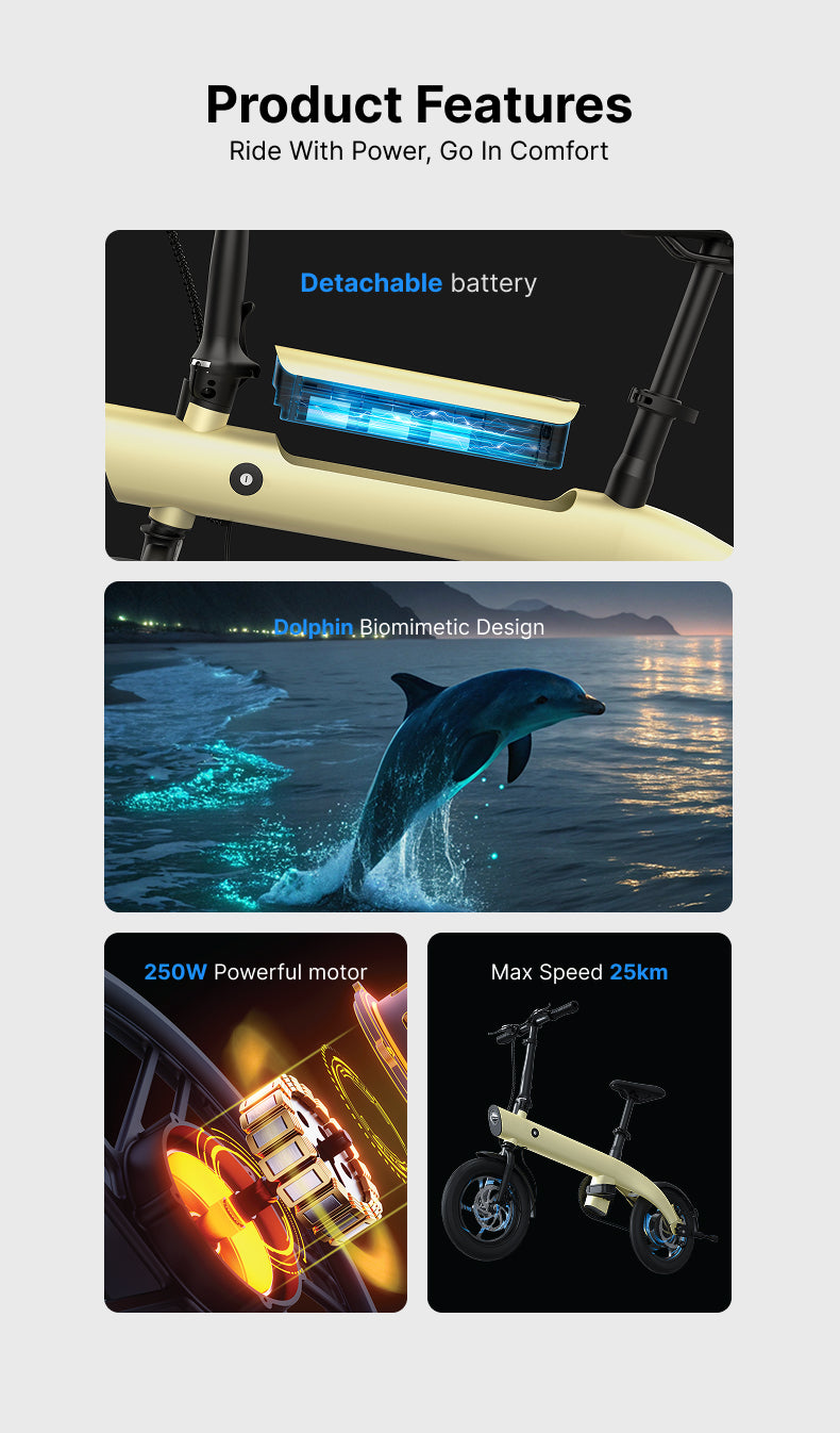 14" Aluminum Folding E-Bike: 36V 250W Rear Hub Motor, 3-Speed, Lightweight Lithium Battery Electric Bicycle