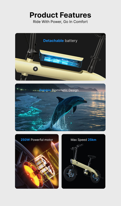 14" Aluminum Folding E-Bike: 36V 250W Rear Hub Motor, 3-Speed, Lightweight Lithium Battery Electric Bicycle