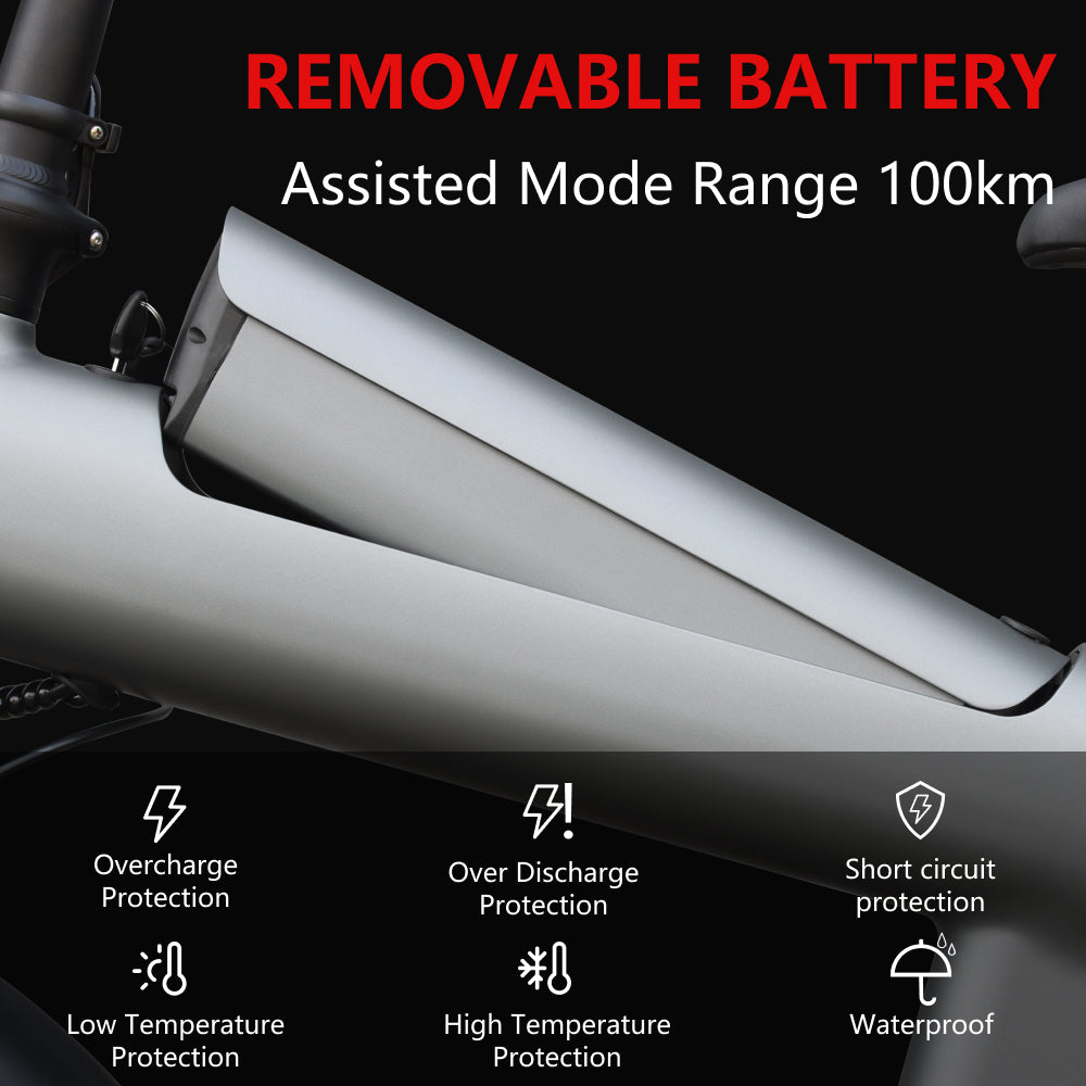 Q3 Fat Tire E-Bike – 48V 750W High Power Full Suspension Electric Bicycle for Adults