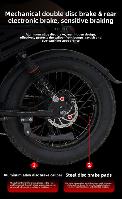 Factory Direct Fat Tire Electric Bike Off-Road Electric Assisted Bicycle European Large Capacity