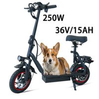 V12 Pro Mobility Electric Bike 36V 15Ah